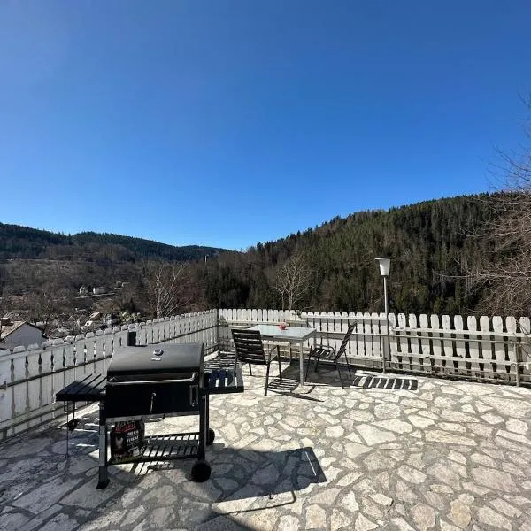 Dreiberge Apartment Sauna & Terrace am Waldrand，位于特里贝格的酒店