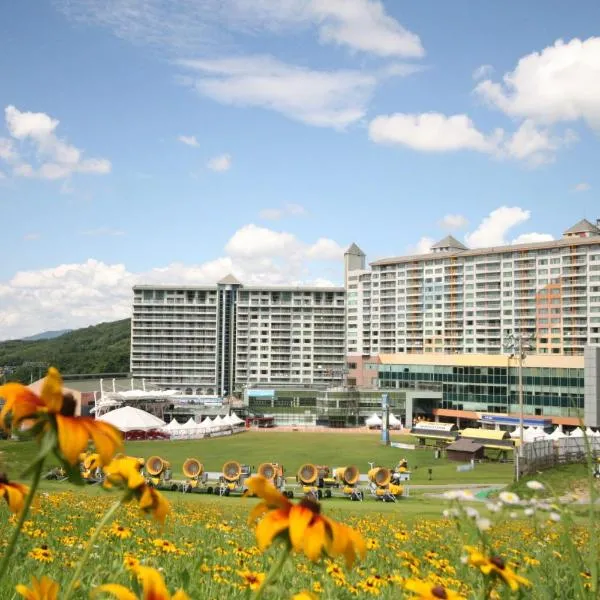 Wellihilli Park Resort，位于Hoengseong的酒店