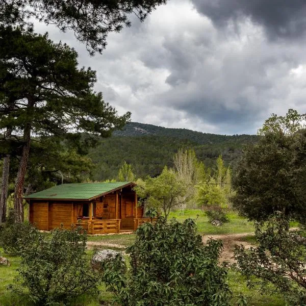 El Llano de los Conejos Serranía de Cuenca，位于San Pedro Palmiches的酒店