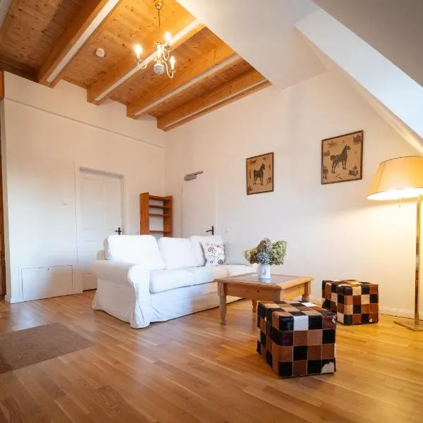 Appartment auf dem Schlosshof Döben,位于格里马的酒店