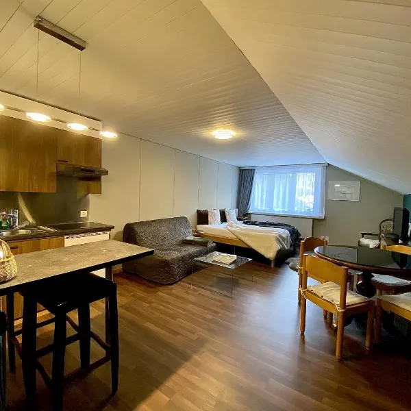 Studio Apartment Göschenen，位于格舍嫩的酒店