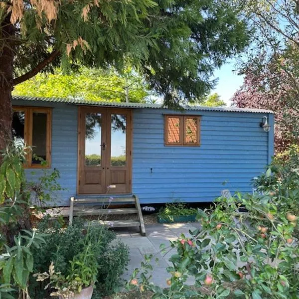 Swifts Return Shepherd's Hut，位于North Lopham的酒店