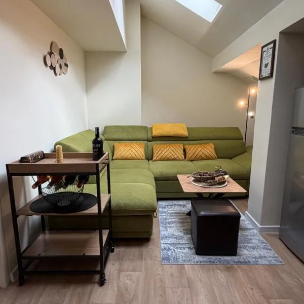 Chamkoria Forest apartment，位于波罗维茨的酒店