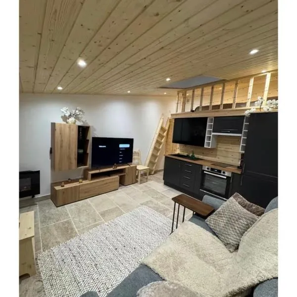 Studio PRINTEMPS,位于桑斯的酒店
