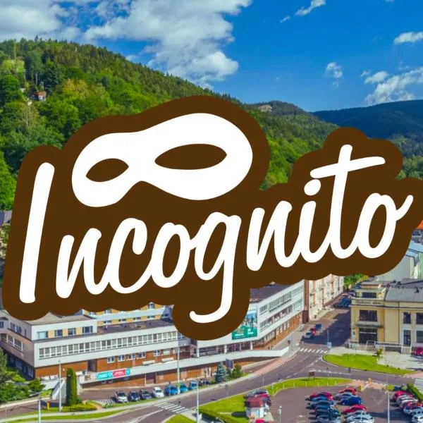 Hotel Incognito，位于亚希莫夫的酒店