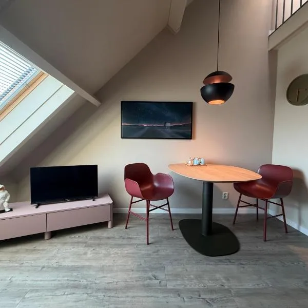 Appartementenhotel Tjermelân Terschelling，位于奥斯特仁德的酒店
