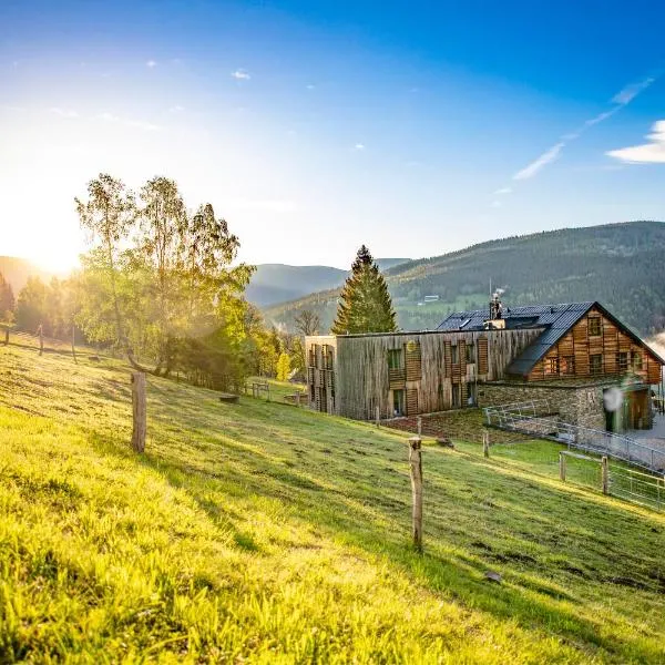 Amenity Hotel & Resort Špindlerův Mlýn，位于什平德莱鲁夫姆林的酒店