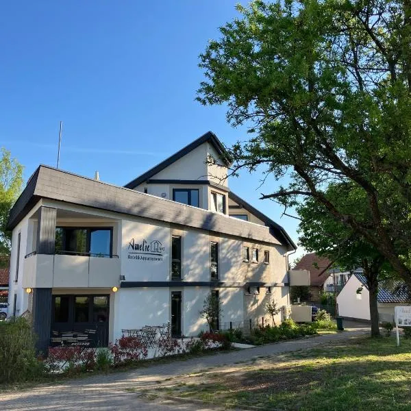 Amelie No 3 Hotel & Appartements，位于施魏根-雷希滕巴赫的酒店