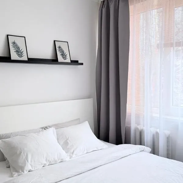 Cosy&White apartment in Daugavpils，位于陶格夫匹尔斯的酒店
