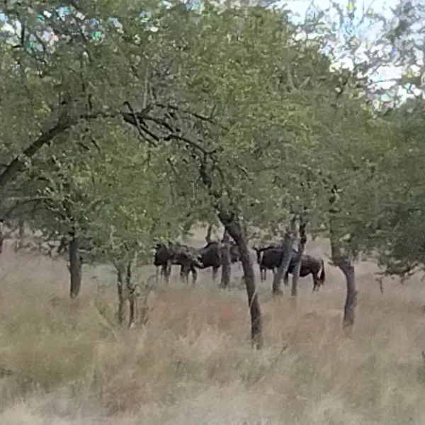 Paradise Camp Game Lodge，位于Grootfontein的酒店