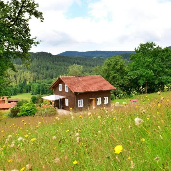 holiday house in the Bavarian Forest，位于拜尔里舍艾森施泰恩的酒店