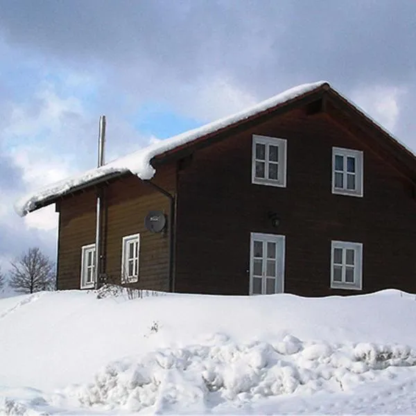 holiday house in the Bavarian Forest，位于阿尔恩布鲁克的酒店