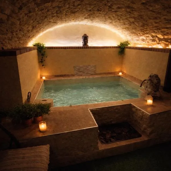 Suite spa Romantique avec piscine privée cosy clim,位于Coligny的酒店