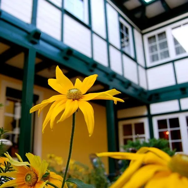 Frühstückshotel Jammernegg，位于克夫拉赫的酒店