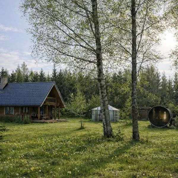 Hazel Hut - spacious fenced yard, sauna, 2-bedroom，位于派尔努的酒店