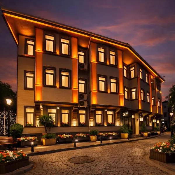 Ayasofya Hotel - Special Class，位于伊斯坦布尔的酒店