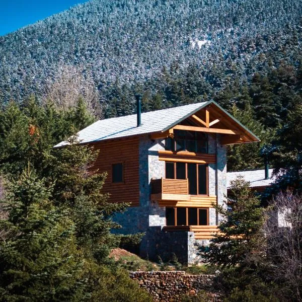Monte Verde Resort Kalavrita，位于卡拉维塔的酒店