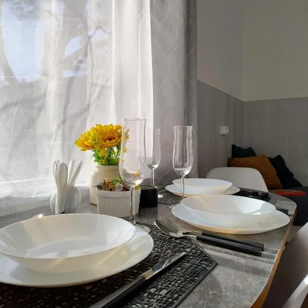 Koidula Tiny House，位于纳尔瓦约埃苏的酒店