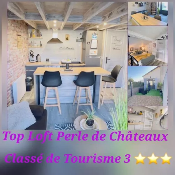Top Loft Perles 4 des Châteaux，位于Mer的酒店