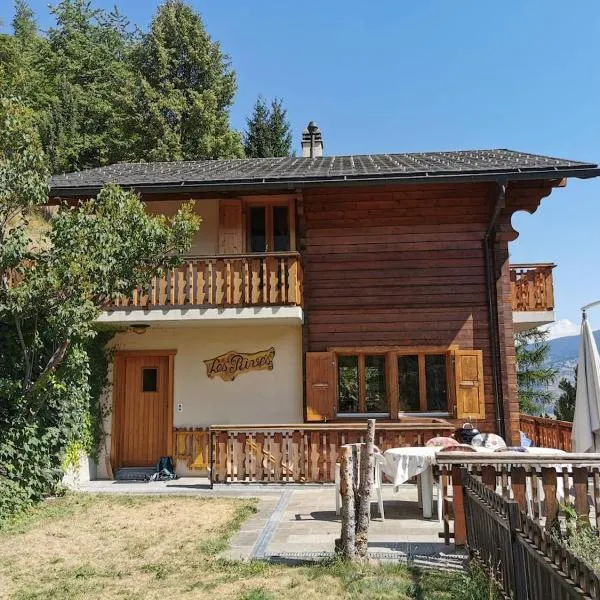 Le balcon de Mâche,位于Hérémence的酒店