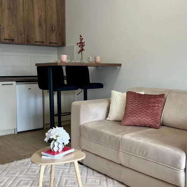 Studio Vila Alto，位于Vrbas的酒店