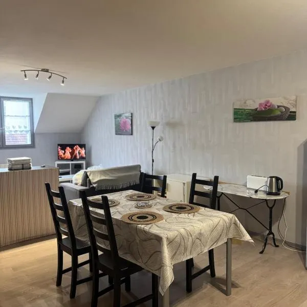 Studio confortable proche thermes，位于萨兰莱班的酒店