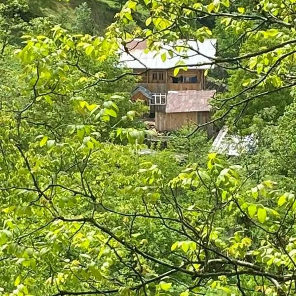 VARD-CIKHE，位于Khulo的酒店