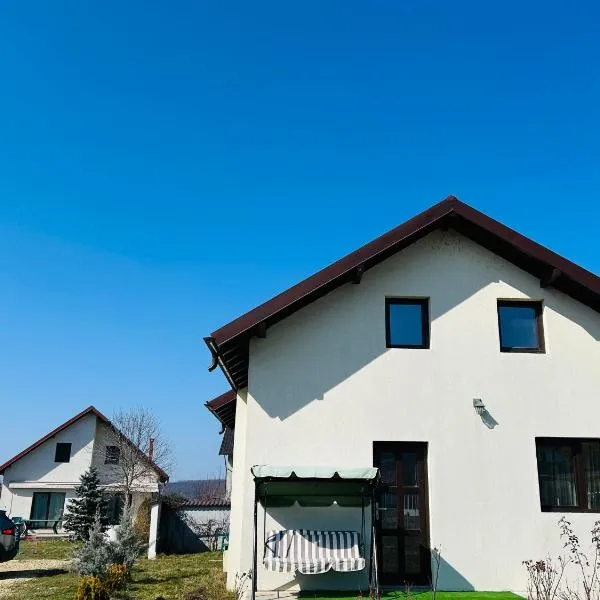 Virajlux Verde Retreat，位于Mioveni的酒店