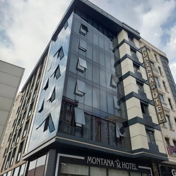 The Montana City Hotel，位于Bostaniçi的酒店