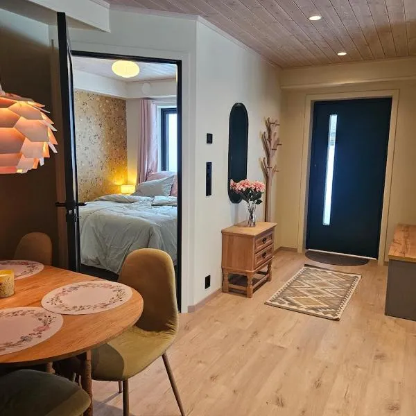 Apartment on the beautiful island of Senja，位于Senja的酒店