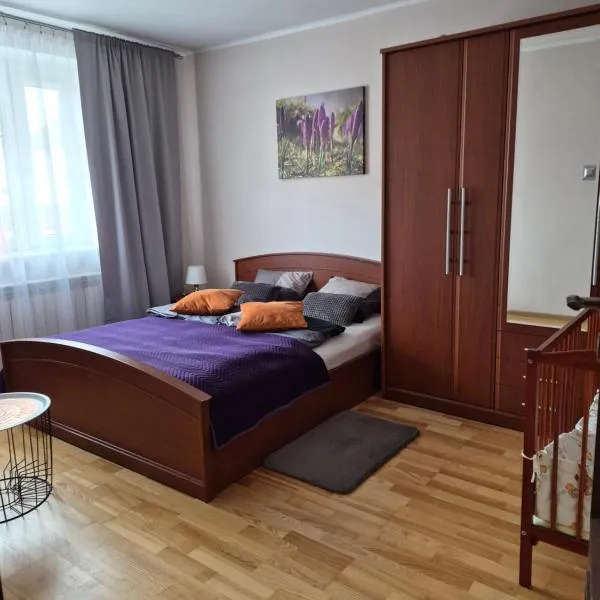 Apartament nad Nidą，位于Sobków的酒店