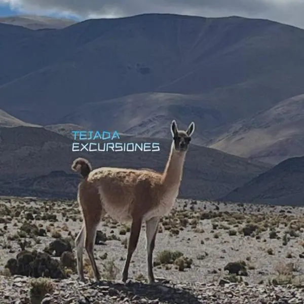 HOTEL y EXCURSIONES TEJADA,位于菲安巴拉的酒店