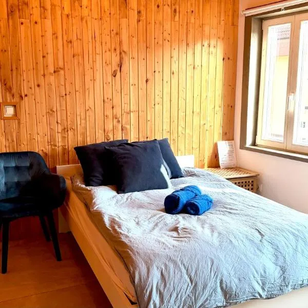 Blaue Wohnung - Goldenes-Häusle，位于Sulzbach an der Murr的酒店