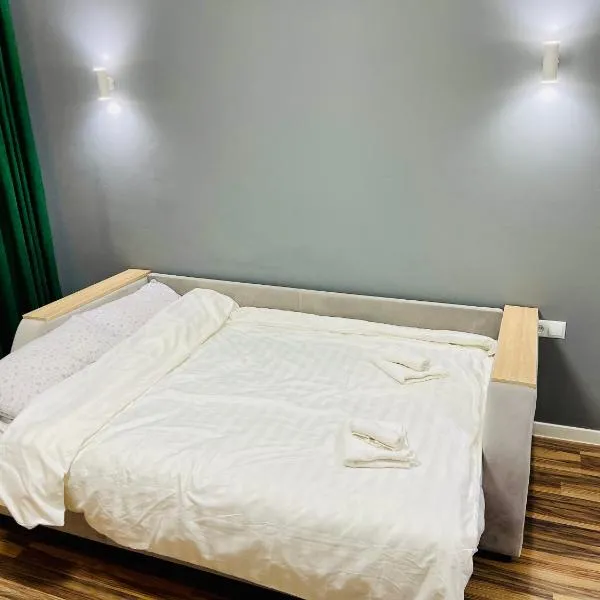 Studio Room Chisinau，位于基希讷乌的酒店