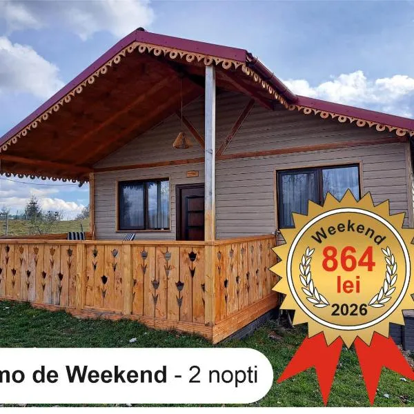 Cabana de lemn Runcu Stone，位于Runcu的酒店