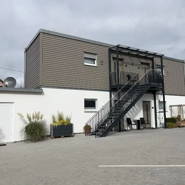 Schäfer Apartments，位于奥伯德尔丁根的酒店