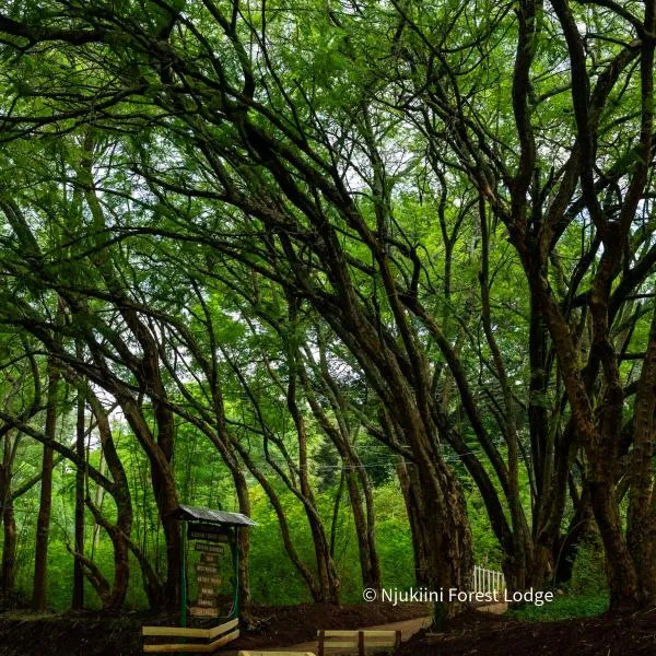 Njukiini Forest Lodge，位于Embu的酒店