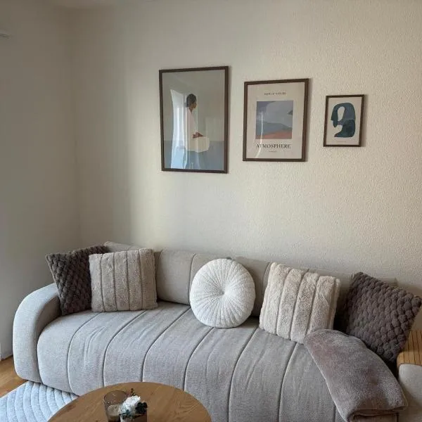Moderne 4-Zimmer Wohnung nahe Bodensee mit Balkon,位于罗尔沙赫的酒店