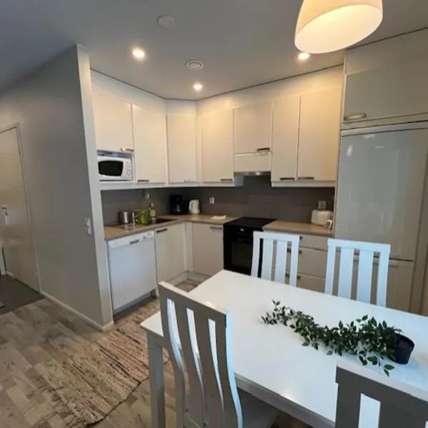 Apartment Annalantie，位于Pyhäjoki的酒店