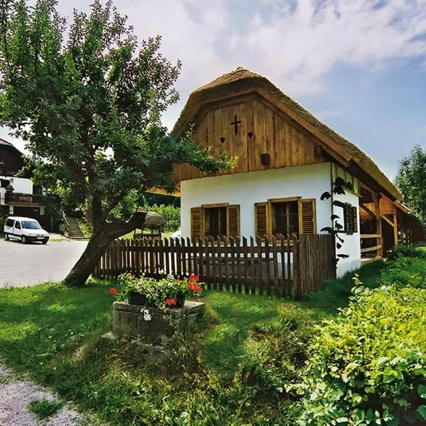 Tourist Farm Ferencovi，位于Rogašovci的酒店