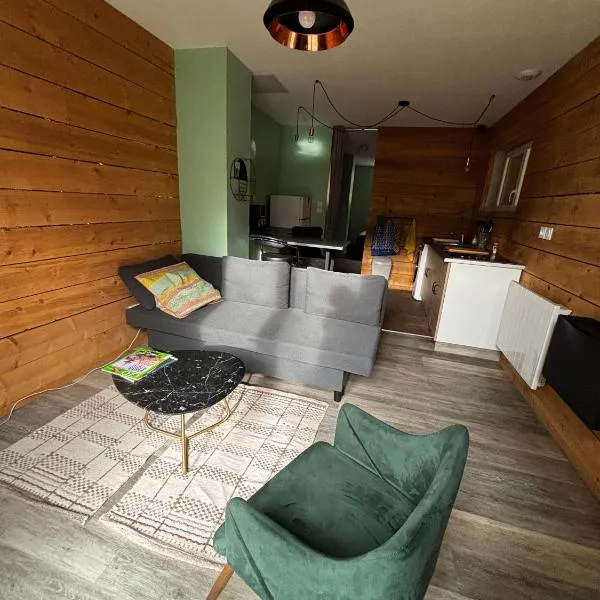 Appartement RDC avec jardin en centre-ville,位于Grisolles的酒店