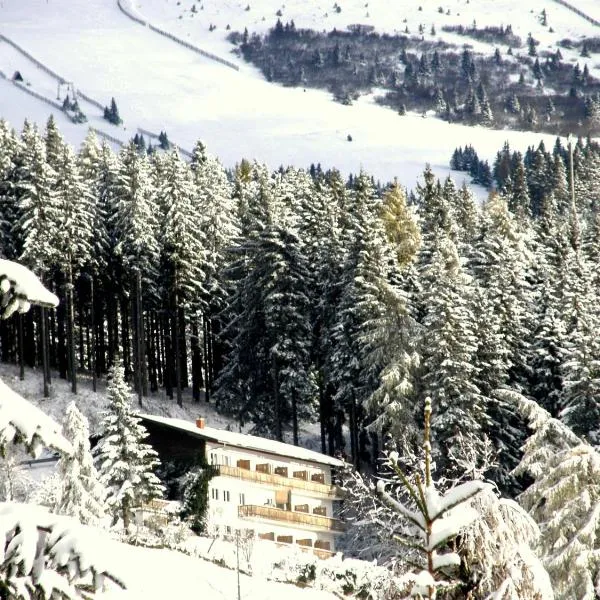 卡琳加尼酒 ，位于Posch Alpe的酒店