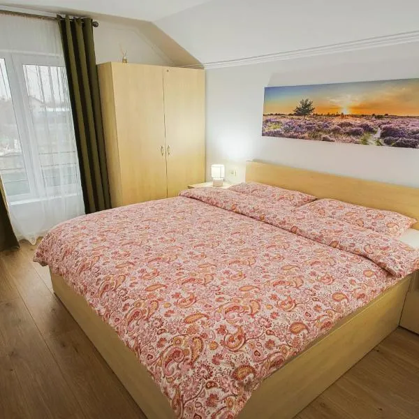 Apartament Domina, self check in, 1 sau 2 dormitoare, 3stele, Ministerul Turismului，位于Sînnicolau Mare的酒店
