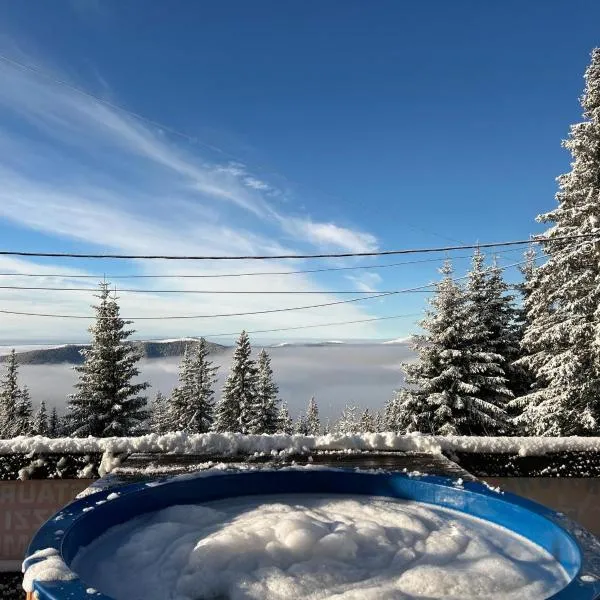 Pensiunea Alpin SPA，位于兰卡的酒店