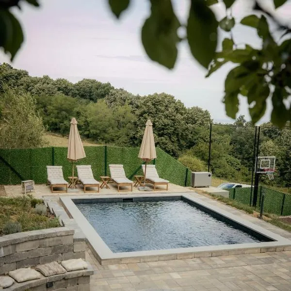 Forest by Leni - National Park Salt Pool Villa，位于Beočin的酒店