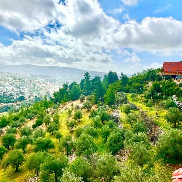 أكواخ المها oryx cottage，位于阿杰隆的酒店