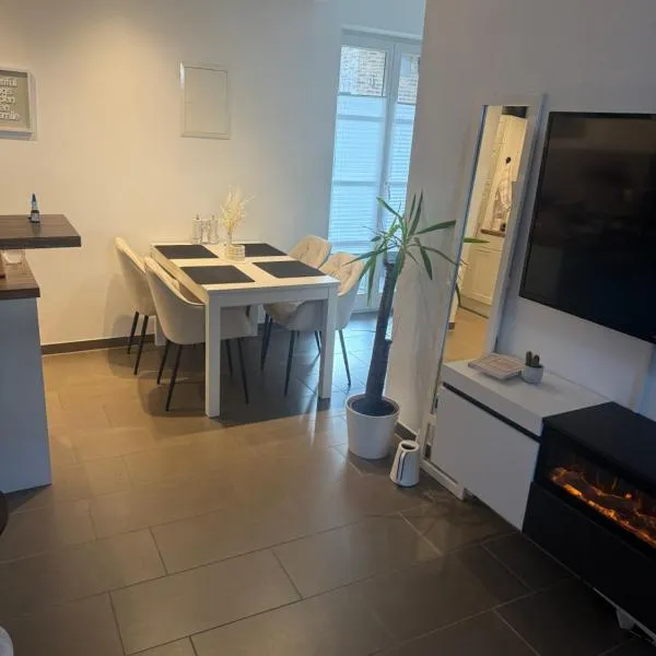 3 Room Apt Bonn，位于波恩的酒店