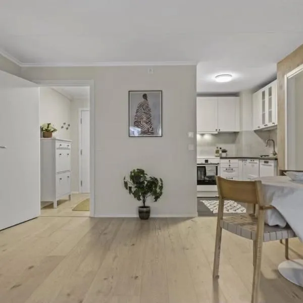 Elegant apartment，位于奥斯陆的酒店
