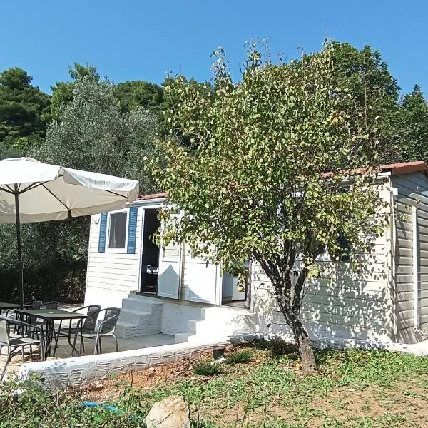 Hillbilly cabin, 2 studios in nature with terrace and parking，位于斯基亚索斯镇的酒店