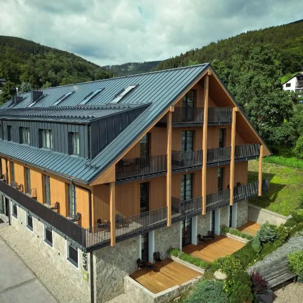 Resort Aurum Hotel，位于切尔尼杜尔的酒店